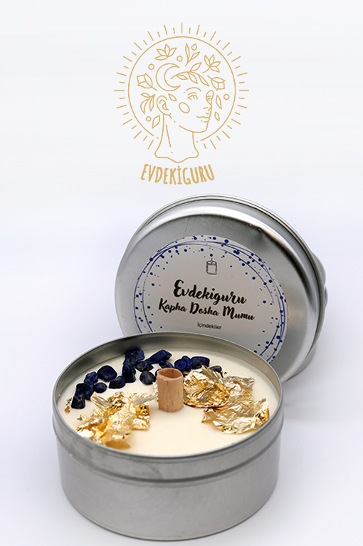 JYOTI's_iyi_yaşam_dükkanı_evdeki_guru