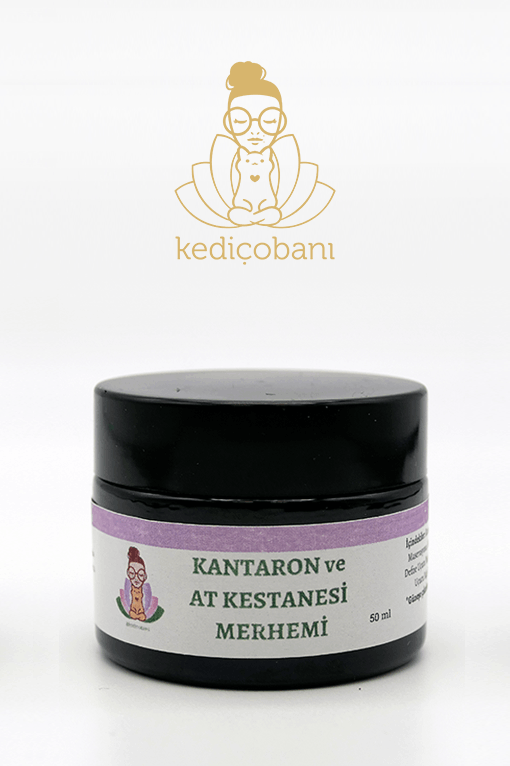 JYOTI's_iyi_yaşam_dükkanı_kedi_cobani